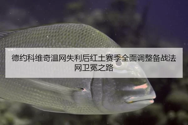 de-yue-ke-wei-qi-wen-wang-shi-li-hou-hong-tu-sai-ji-quan-mian-tiao-zheng-bei-zhan-fa-wang-wei-mian-zhi-lu-3-544.jpg