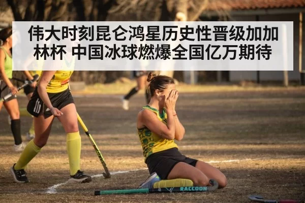 伟大时刻昆仑鸿星历史性晋级加加林杯 中国冰球燃爆全国亿万期待