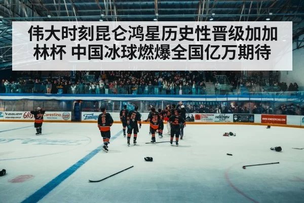 ice hockey arena crowd