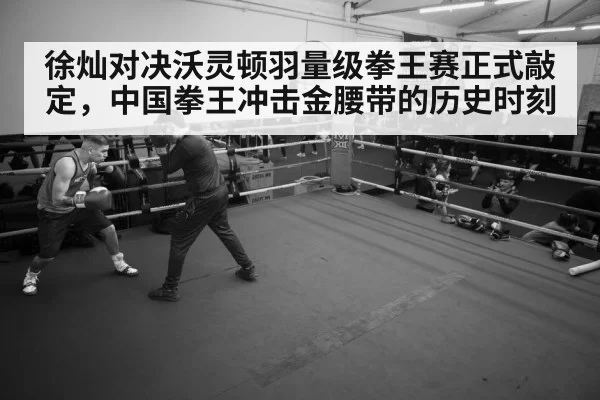 boxer training gym